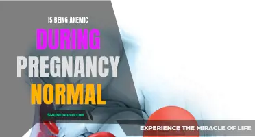 Understanding Anemia During Pregnancy: Is It Normal or Cause for Concern?