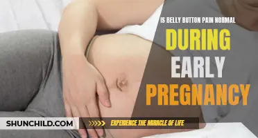 Understanding Belly Button Pain During Early Pregnancy