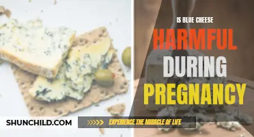The Potential Risks of Consuming Blue Cheese during Pregnancy