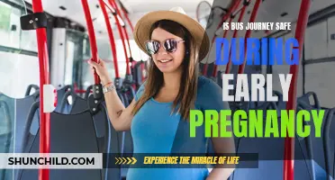 Pregnant Passengers: Navigating Bus Travel in the Early Trimesters