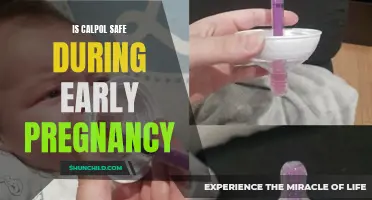 Calpol Use During Early Pregnancy: Understanding the Safety Concerns