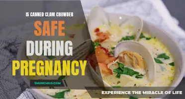 Ensuring a Safe and Nutritious Pregnancy: Exploring the Safety of Canned Clam Chowder