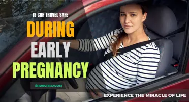 Car Travel and Early Pregnancy: Understanding the Safety Concerns