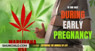CBD Use During Early Pregnancy: Exploring Safety and Potential Risks
