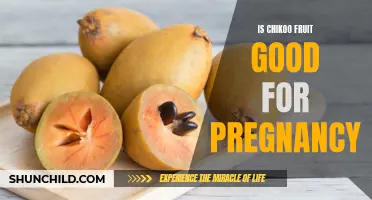 The Benefits of Chikoo Fruit During Pregnancy