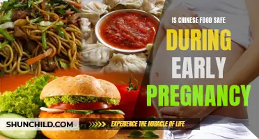 Pregnancy and Chinese Food: Exploring the Safety Concerns