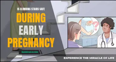 Stair Safety for Expecting Mothers: Navigating Early Pregnancy with Ease
