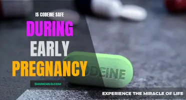 Codeine Use During Early Pregnancy: Weighing the Risks and Benefits