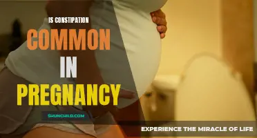 Understanding the Frequency of Constipation During Pregnancy