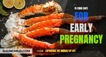 Crabby Conundrum: Is Crab Consumption Safe During Early Pregnancy?