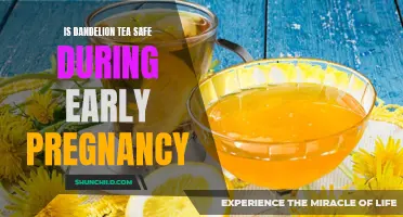 Dandelion Tea During Early Pregnancy: Exploring Its Safety and Benefits