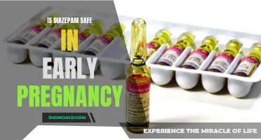 Diazepam Use During Early Pregnancy: Exploring the Safety Profile