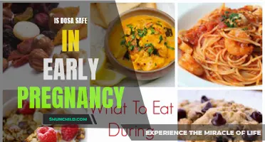 Dosa Delights: A Safe and Nutritious Treat for Early Pregnancy Cravings