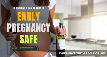 Soda Consumption During Early Pregnancy: Exploring the Safety Concerns