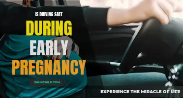 Pregnant and Behind the Wheel: Navigating Road Safety During Early Pregnancy