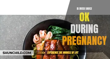 Can You safely consume Duck Sauce During Pregnancy?