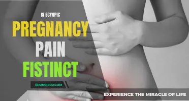 Understanding Ectopic Pregnancy Pain: Is It Distinct from Other Types of Abdominal Discomfort?