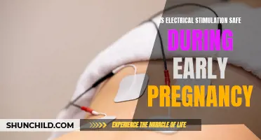 Electrical Stimulation and Early Pregnancy: Exploring Safe Boundaries