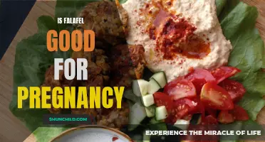 Exploring the Benefits of Including Falafel in a Pregnancy Diet