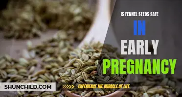 Fennel Seeds and Pregnancy: A Safe and Natural Remedy?