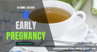 Fennel Tea and Pregnancy: A Safe, Natural Remedy for Expectant Mothers?