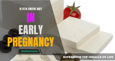 Feta Cheese and Pregnancy: What's Safe to Eat?