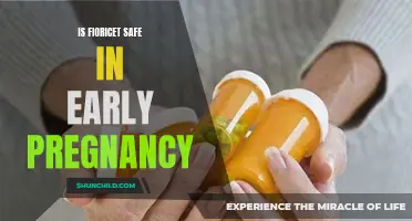 Fioricet's Safety during Early Pregnancy: What Expectant Mothers Should Know