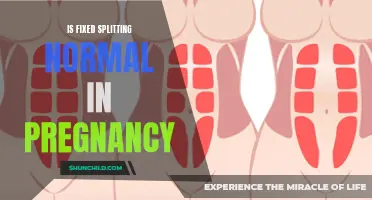 Exploring the Normalcy of Fixed Splitting in Pregnancy: What You Need to Know