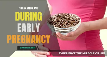 Flax Seeds and Pregnancy: A Safe and Healthy Combination?