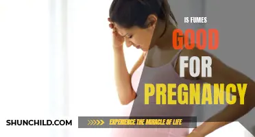Exploring the Effects of Fumes on Pregnancy: What You Need to Know