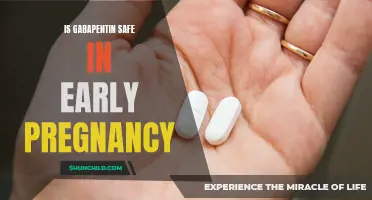 Gabapentin Use During Early Pregnancy: Weighing the Risks and Benefits