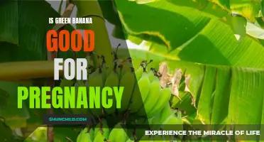 Exploring the Benefits of Green Banana During Pregnancy