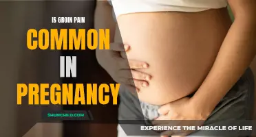 Exploring the Common Occurrence of Groin Pain During Pregnancy