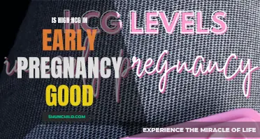 The Importance of High HCG Levels in Early Pregnancy