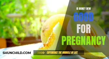 The Benefits of Consuming Honeydew During Pregnancy