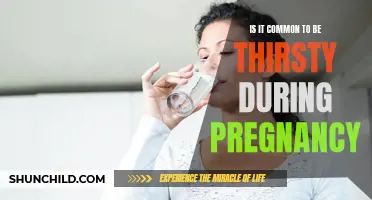 Why Feeling Thirsty During Pregnancy is Common
