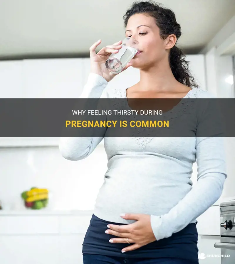 is it common to be thirsty during pregnancy