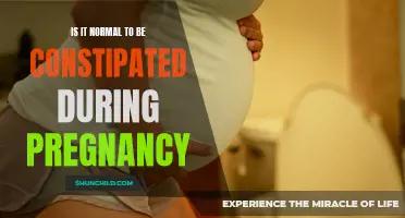 Understanding the Causes and Solutions for Constipation During Pregnancy