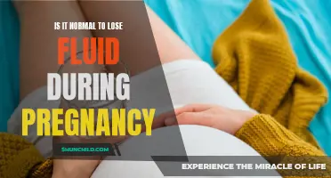 Understanding Fluid Loss During Pregnancy: Is It Normal?