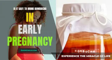 Pregnancy and Kombucha: A Safe Combination?