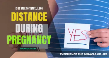 Pregnancy and Long-Distance Travel: Exploring Safe Mobility for Expectant Mothers