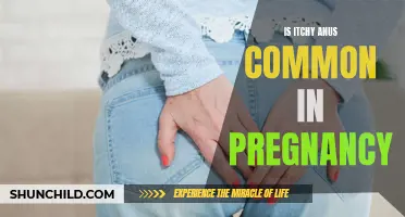 The Common Occurrence of Itchy Anus During Pregnancy