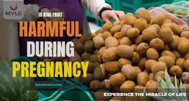 Exploring the Safety of Kiwi Fruit Consumption During Pregnancy: What You Need to Know