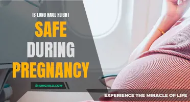 Pregnancy and Air Travel: Navigating Long-Haul Flights Safely