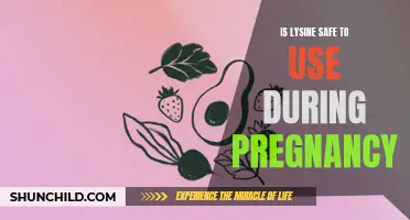 Exploring the Safety of Lysine Usage During Pregnancy