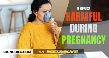 Understanding the Safety of Nebulizers During Pregnancy