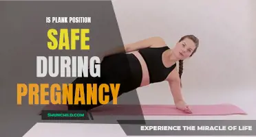 Plank Position During Pregnancy: Safe Practice or Potential Risk?