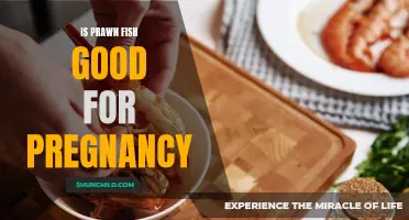The Health Benefits of Prawn Fish for Pregnancy