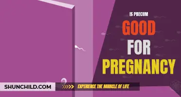 Exploring the Role of Precum in Pregnancy: What You Need to Know