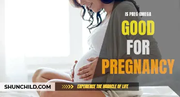 Understanding the Benefits of Preg Omega for a Healthy Pregnancy